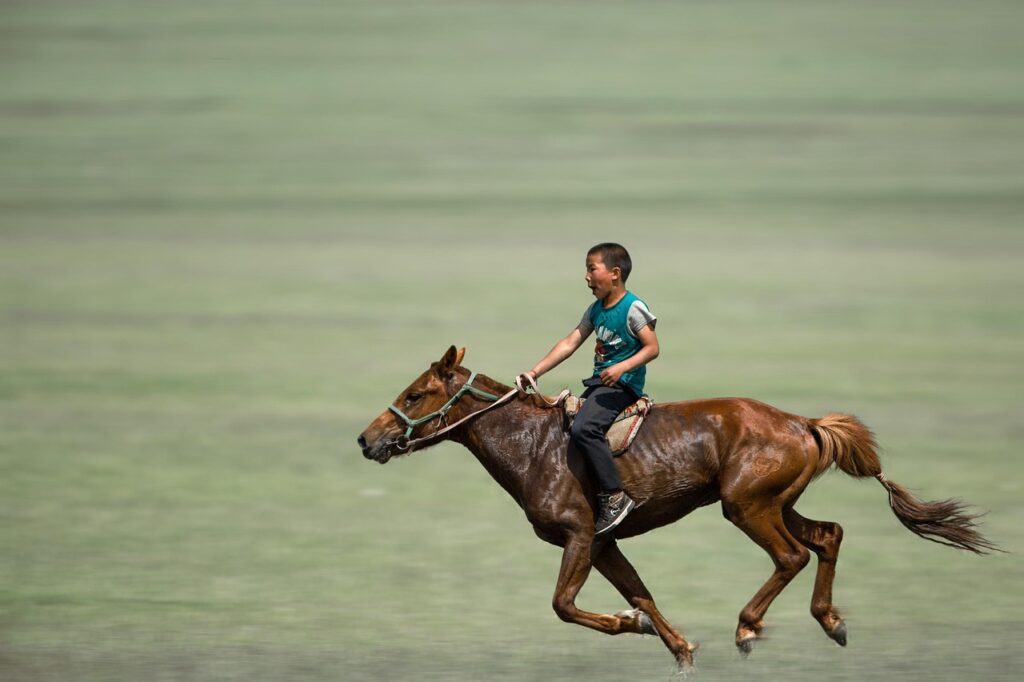boy, horse riding, galloping, horse, nature, grassland, sports, riding rider, animal, mammalian, naadam, mongolia