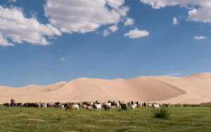 Day 4. Climb up Khongor Sand Dunes