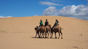 Day 2. Khugnu Tarna National Park