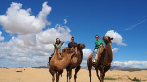 Day 2. Khugnu Tarna Natural Reserve via Khustai National Park