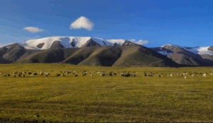 Day 9. Tsambagarav National Park