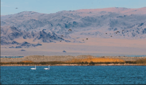 Day 8. Uureg & Achit Lake